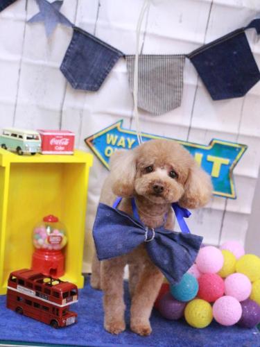 20230409リルくん